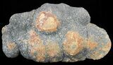 Polished Baryte and Marcasite - Lubin Mine, Poland #60510-1